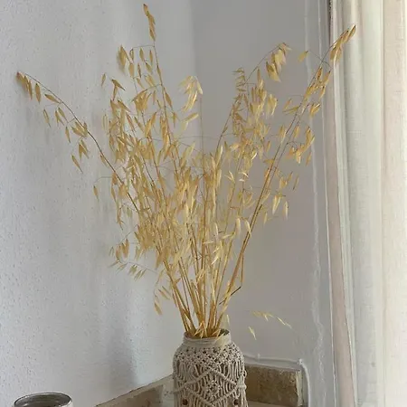 Evi's House דירה